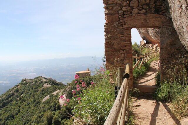 Vista