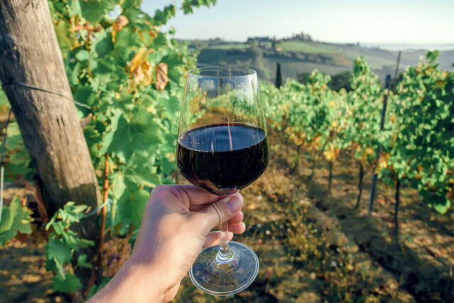 Vino en Chianti