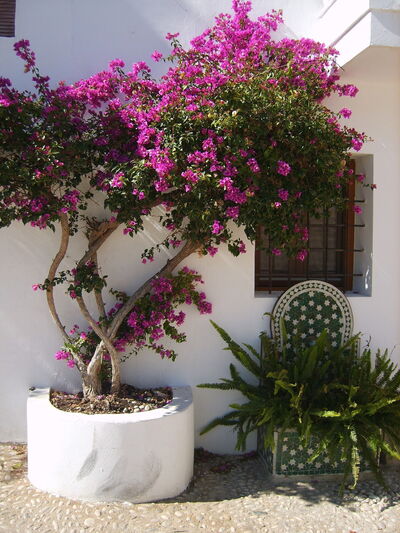 Bonitas vistas de las calles de Altea