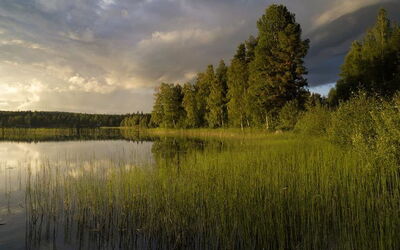 Alquileres De Casas En Gävleborg