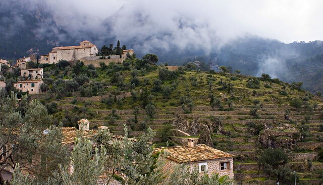 Mallorca brumosa