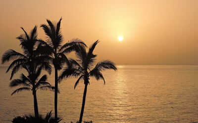 Una playa en invierno