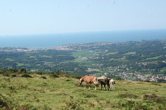 Vista sobre San Juan de Luz