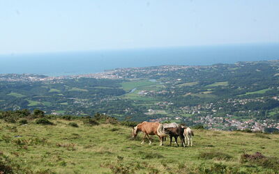 Vista sobre San Juan de Luz