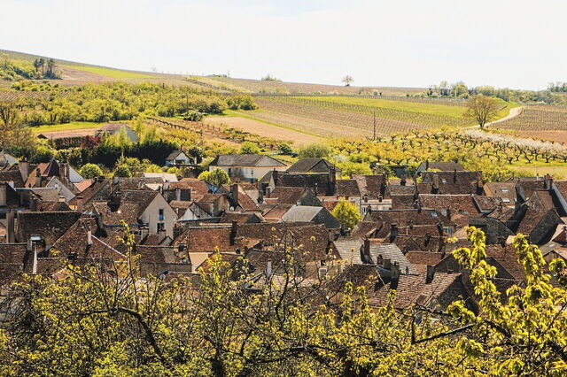 Borgoña
