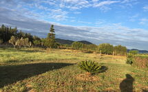 Fotos enviadas por los huéspedes de Can Barbara