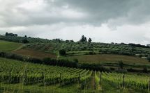 Fotos enviadas por los huéspedes de Villa Ferdinando