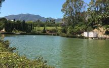 Fotos enviadas por los huéspedes de Benalmádena Costa 121