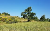 Fotos enviadas por los huéspedes de Casa Caldesi