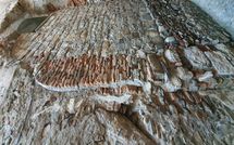 Fotos enviadas por los huéspedes de I Corsari del Corallo - Cervo
