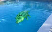 Fotos enviadas por los huéspedes de Uva