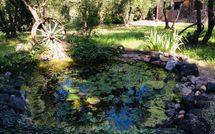 Fotos enviadas por los huéspedes de Casa Cipressi