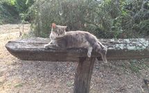 Fotos enviadas por los huéspedes de Val di Coreto