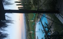 Fotos enviadas por los huéspedes de Montescalari