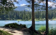 Fotos enviadas por los huéspedes de Suite 07-03