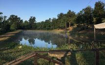 Fotos enviadas por los huéspedes de Fucecchio 900