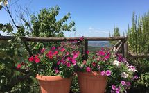 Fotos enviadas por los huéspedes de Casetta i Ciliegi