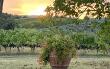 Fotos enviadas por los huéspedes de Vittoriana