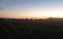 Fotos enviadas por los huéspedes de Borgo Casa di Lappi