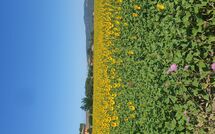 Fotos enviadas por los huéspedes de Borgo Casa di Lappi