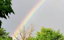 Fotos enviadas por los huéspedes de Pagliazzone