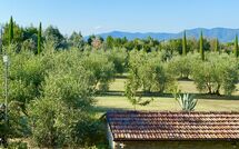 Fotos enviadas por los huéspedes de Galleria di Brolio