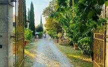 Fotos enviadas por los huéspedes de Tenuta Il Tresto