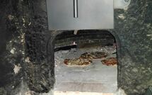 Fotos enviadas por los huéspedes de Patrizierhaus Roncaioli