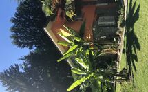 Fotos enviadas por los huéspedes de Castro 150