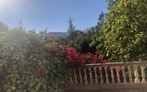 Fotos enviadas por los huéspedes de Son Real