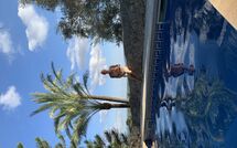 Fotos enviadas por los huéspedes de Son Real