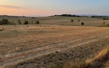 Fotos enviadas por los huéspedes de Villa Farneta
