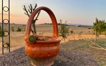 Fotos enviadas por los huéspedes de Villa Farneta