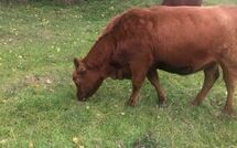 Fotos enviadas por los huéspedes de Groß Zicker 150