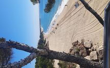 Fotos enviadas por los huéspedes de Miami Platja 496