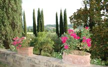 Fotos enviadas por los huéspedes de Tenuta Il Tresto