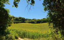 Fotos enviadas por los huéspedes de Gabicce Mare 603