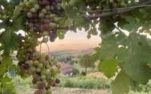 Fotos enviadas por los huéspedes de Casa della Peschiera