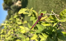 Fotos enviadas por los huéspedes de Villa Gemapirò