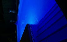 Fotos enviadas por los huéspedes de Villa Albert