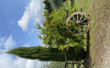 Fotos enviadas por los huéspedes de La Rimessa