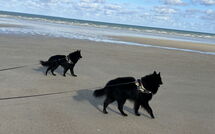 Fotos enviadas por los huéspedes de Neptune
