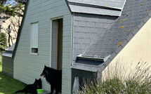 Fotos enviadas por los huéspedes de Neptune