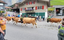 Fotos enviadas por los huéspedes de Lauterbrunnen 101