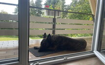 Fotos enviadas por los huéspedes de Ferienhäusle Nina