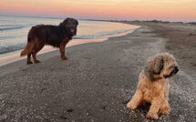 Fotos enviadas por los huéspedes de Silvia