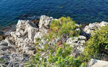 Fotos enviadas por los huéspedes de Le Marbeau