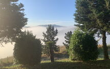 Fotos enviadas por los huéspedes de Lajatico 602