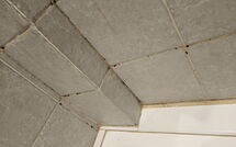 Fotos enviadas por los huéspedes de Marina di Bibbona 150