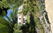 Fotos enviadas por los huéspedes de Villa Finca Labranza